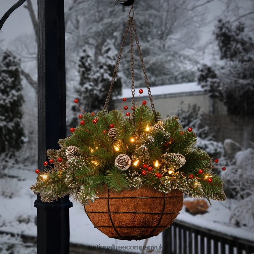 Greenery | National Tree Company Pre-Lit Artificial Christmas Hanging Basket Mountain Spruce Decorated With Frosted Pine Cones Berry Clusters White Lights Christmas Collection 20 Inches F2L4F437